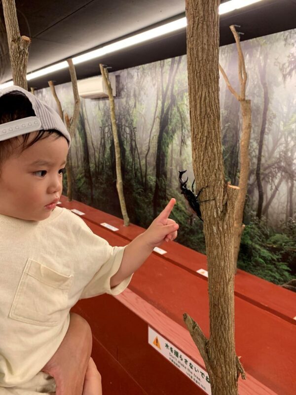 Okinawa Fishing Treasure Hunt Adventure Kingdom (All-weather Indoor Parent-Child Park-Fishing and Digging for Treasure) - Timing your visit and handling the practical details