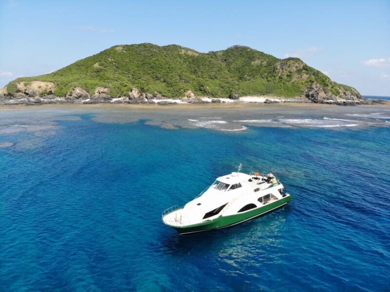 Okinawa: From Naha: Kerama Islands 1-day snorkeling tour - Key Points