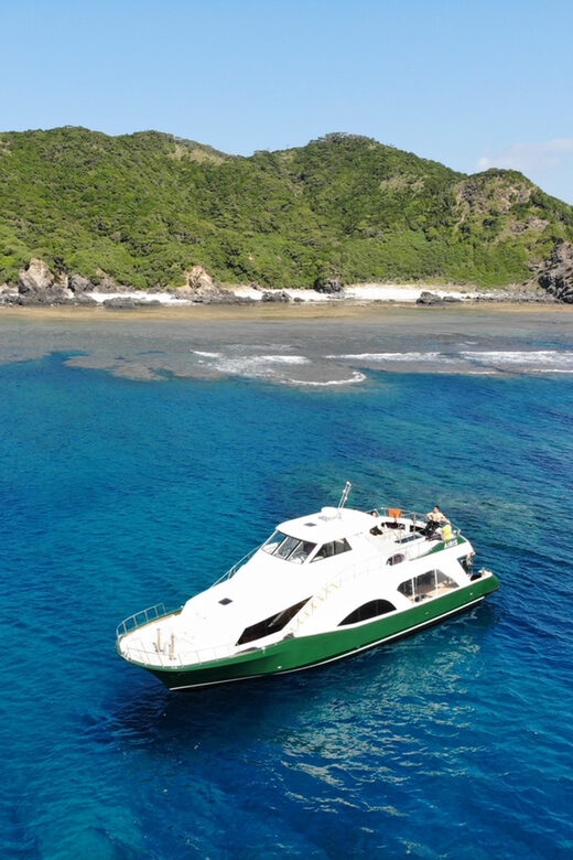 Okinawa: From Naha: Kerama Islands 1-day snorkeling tour - Food, Comfort, and Extras