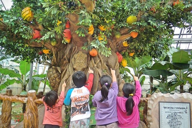 Okinawa Fruits Land Ticket - Plan this as a Nago-area stop