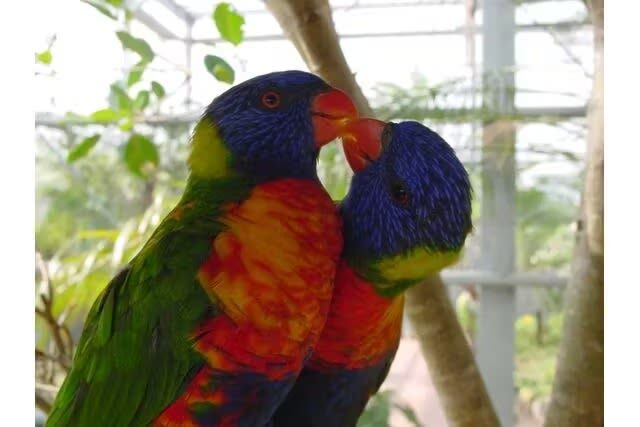Okinawa Fruits Land Ticket - Who will enjoy it most