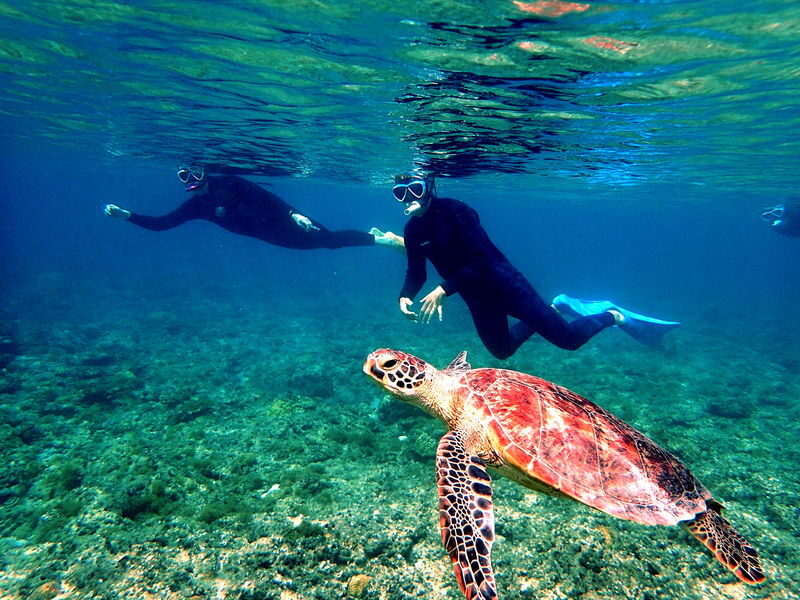 Okinawa: Full-Day Kerama Islands National Park Snorkeling Tour - The boat is your base for the day