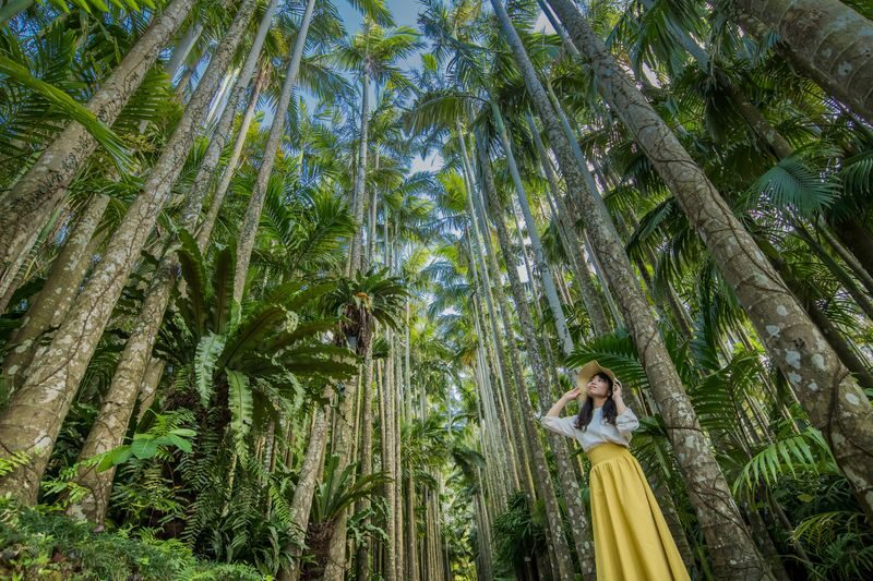 Okinawa FunPASS (Churaumi Series) - Who should book the Churaumi Series?