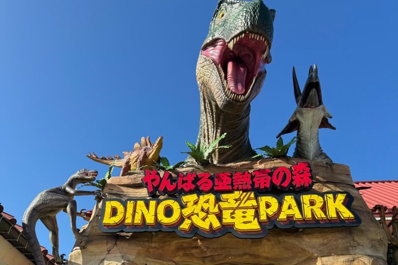 Okinawa FunPASS (Value Series) - The five-day rule and the one-year deadline