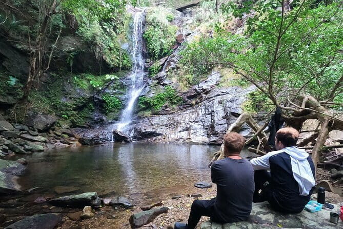 Okinawa Highlight Tour by Private Car - Who Should Consider This Tour?