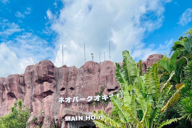 Okinawa Hip-hop Bus B Course Tour (Okinawa Churaumi Aquarium) - The Sum Up: Who Should Book This Tour?