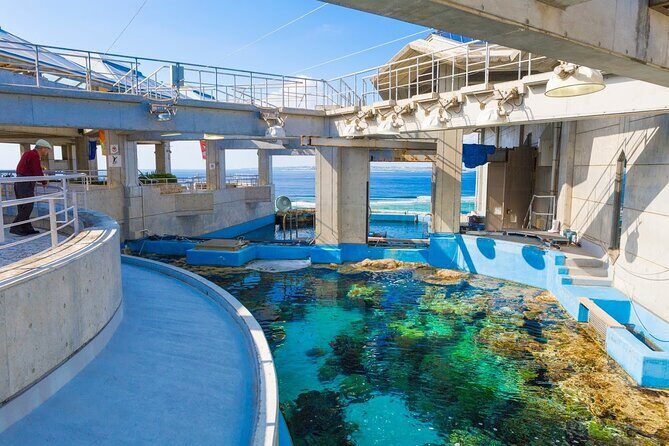 Okinawa Hip-hop Bus B Course Tour (Okinawa Churaumi Aquarium) - FAQ