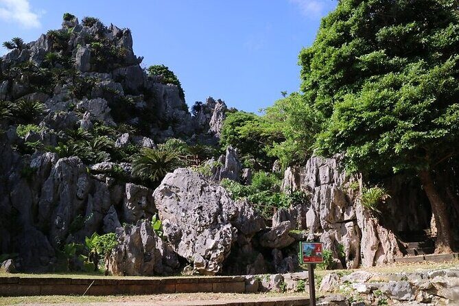 Okinawa Hip-hop Bus C Course Tour to Northern Island - Experience the Heart of Okinawas Natural Beauty with the Hip-hop Bus C Course