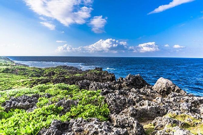 Okinawa Hip-hop Bus C Course Tour to Northern Island - A Deep Dive into the Okinawa Hip-hop Bus C Course Tour