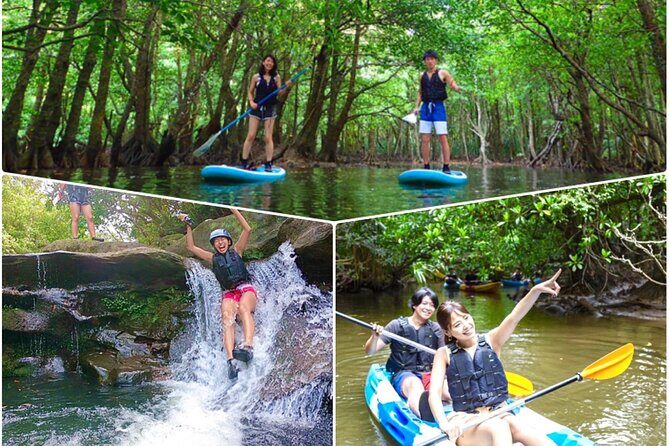 Okinawa Iriomote Mangrove SUP or Canoe Tour and Splash Canyoning - A Closer Look at the Okinawa Iriomote Mangrove SUP or Canoe Tour and Splash Canyoning Experience