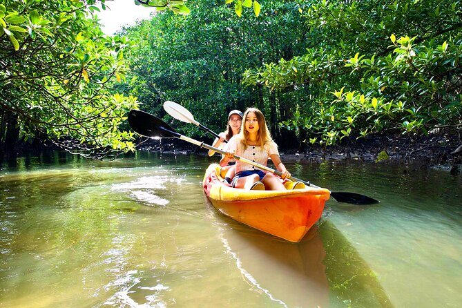 Okinawa Iriomote Mangrove SUP or Canoe Tour - Final Thoughts