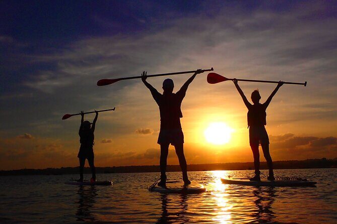 Okinawa Iriomote Sunset SUP or Canoe Tour in Iriomote Island - Final Thoughts