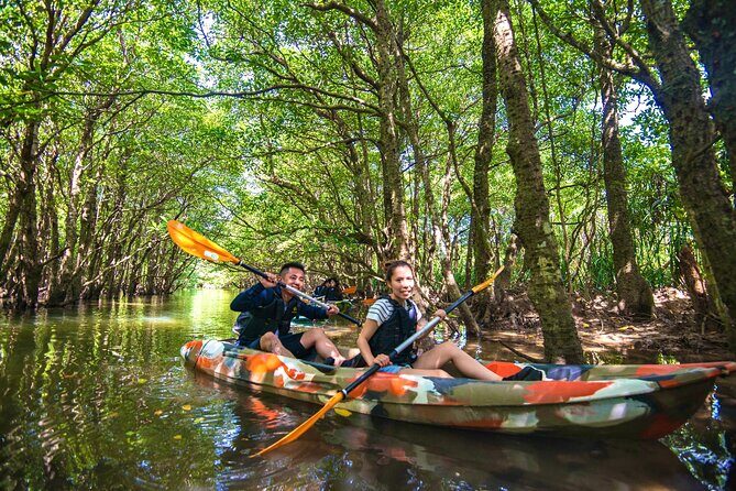 Okinawa Iriomote SUP or Canoe and Sightseeing in Yubujima island - The Practicalities: What You Need to Know