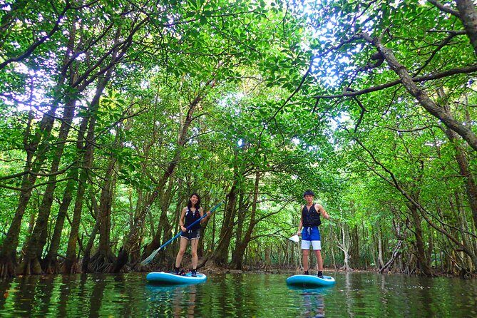 Okinawa Iriomote SUP or Canoe and Sightseeing in Yubujima island - FAQ