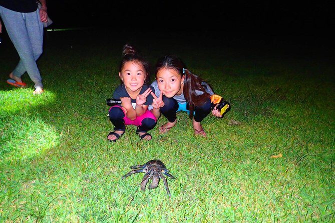 Okinawa Iriomotejima Night Adventure Tour - The Experience: What to Expect and Why It Matters