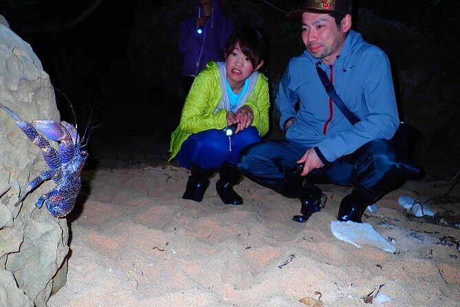 Okinawa Iriomotejima Night Adventure Tour - In-Depth Breakdown: From Jungle to Stars