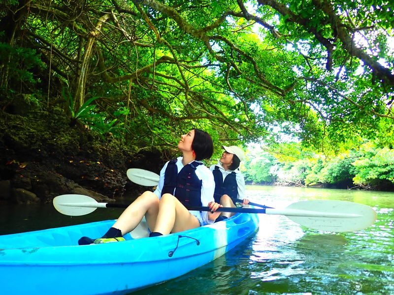 Okinawa Ishigaki Island Mangrove Forest Half-day Tour (SUP/Canoe) - What to Know Before You Paddle