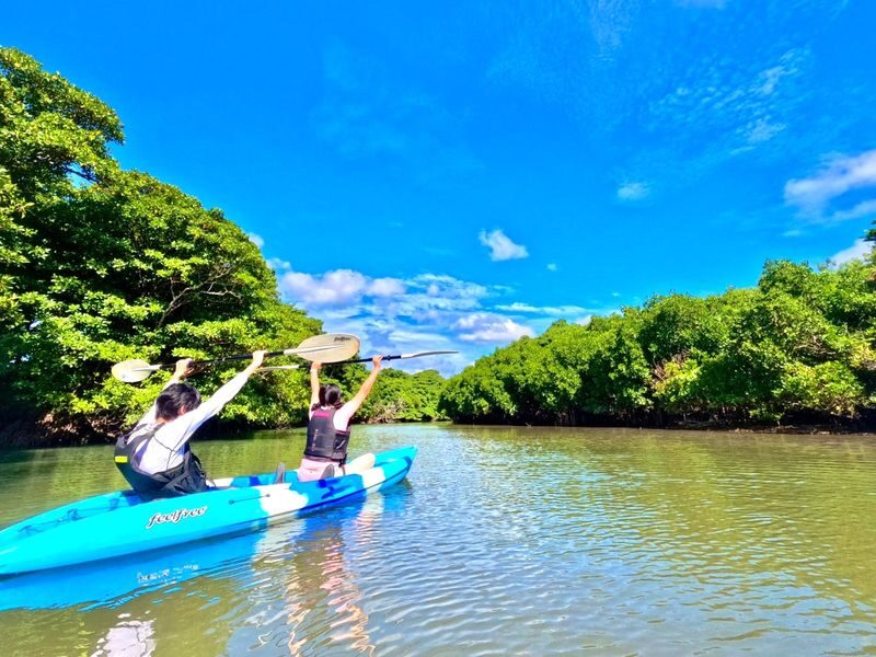 Okinawa Ishigaki Island Mangrove Forest Half-day Tour (SUP/Canoe) - A Mangrove River, Not an Ocean Crossing