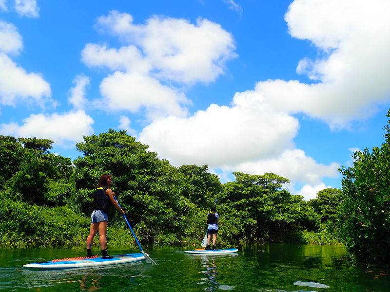 Okinawa Ishigaki Island Mangrove Forest Half-day Tour (SUP/Canoe) - What the Paddle Feels Like
