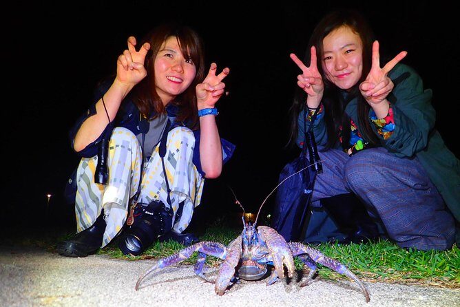 Okinawa Ishigaki Island Night Starry sky and Jungle night tour - FAQs