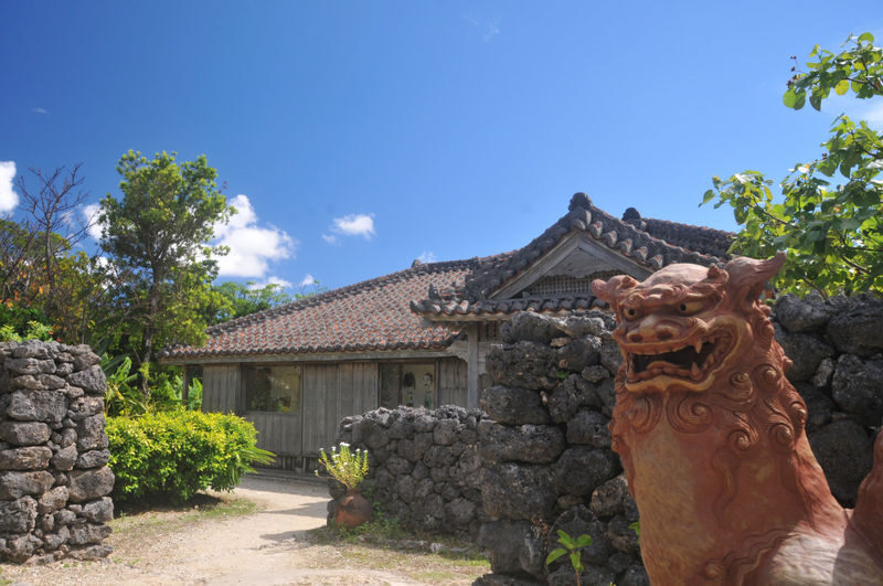 Okinawa Ishigaki Island Private Chartered Car Day Tour-Customized Itinerary - Cultural stops and a little time in town