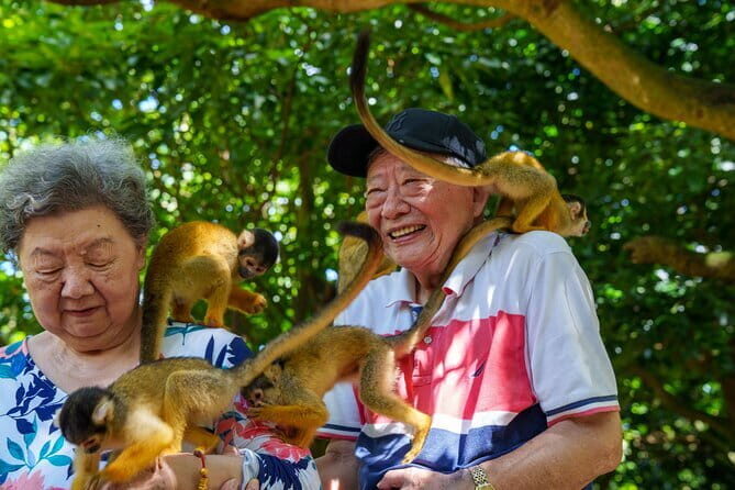 Okinawa Ishigaki Island Private Tour - A Deep Dive into the Ishigaki Private Tour Experience