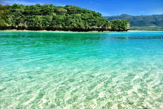 Okinawa Ishigaki Island Private Tour - What Travelers Say