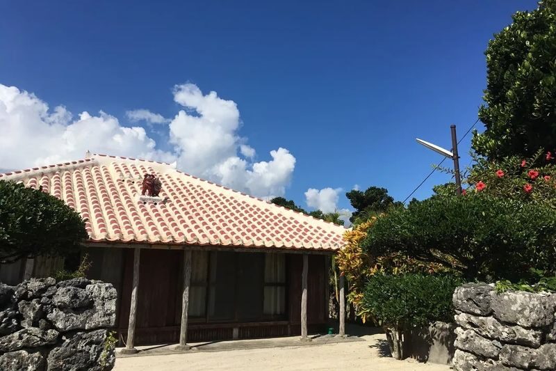Okinawa Ishigaki Island Taketomi Island Water Buffalo Cart Sightseeing & Round-Trip Ferry Ticket - Use your free time to see more of the island