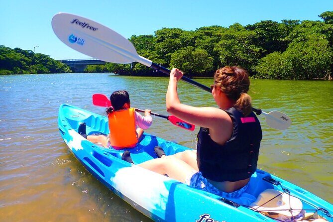 Okinawa Ishigaki Mangrove SUP or Canoe Tour - Experience the Tranquility of Ishigaki’s Mangroves with a SUP or Canoe Tour
