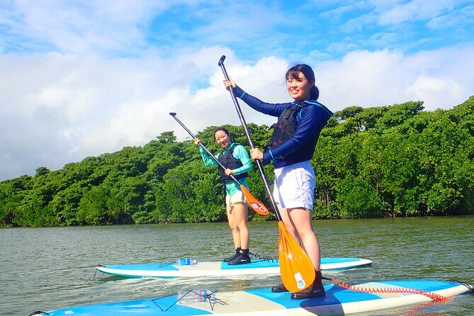 Okinawa Ishigaki Mangrove SUP or Canoe Tour - Exploring the Miyara River Mangroves: What To Expect