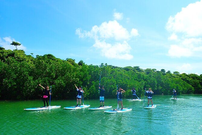 Okinawa Ishigaki Mangrove SUP or Canoe Tour - Who Should Consider This Tour?
