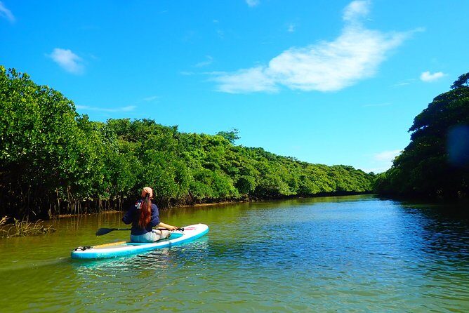 Okinawa Ishigaki Mangrove SUP or Canoe Tour - The Sum Up: Who Will Love This Tour?