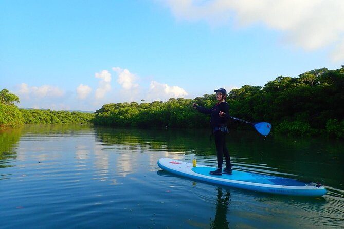 Okinawa Ishigaki Mangrove SUP or Canoe Tour - FAQ