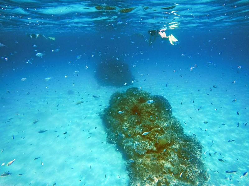 Okinawa Island Hopping: Kerama Tokashiki Snorkeling & Sea bathing - Five hours at Aharen Beach