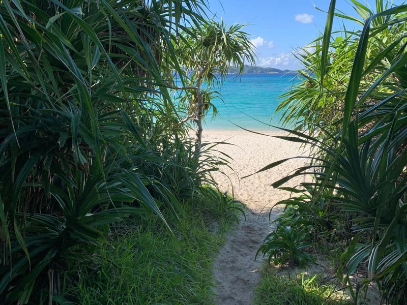 Okinawa Island Hopping: Kerama Tokashiki Snorkeling & Sea bathing - Choosing a package and judging the price