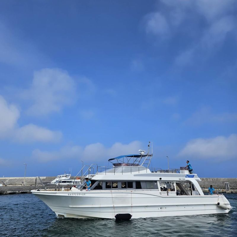 Okinawa Island Hopping: Kerama Tokashiki Snorkeling & Sea bathing - Timing, safety, and what to bring