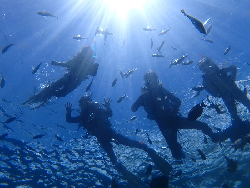 Okinawa, Japan | Blue Cave Snorkeling | Chinese and English Instructors! GoPro Photography & Free Underwater Feeding - What to know before you book