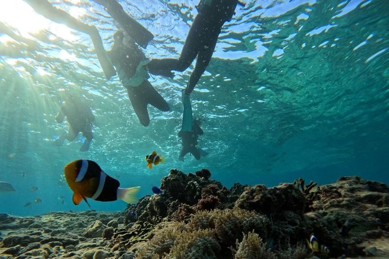 Okinawa Japan: Onna Village Maeda Blue Cave Tour (Snorkeling / Trial Diving) - A short route to Okinawa’s blue water