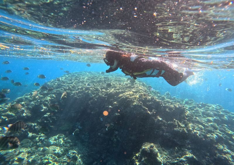 Okinawa Japan: Onna Village Maeda Blue Cave Tour (Snorkeling / Trial Diving) - What you may see, and what can change