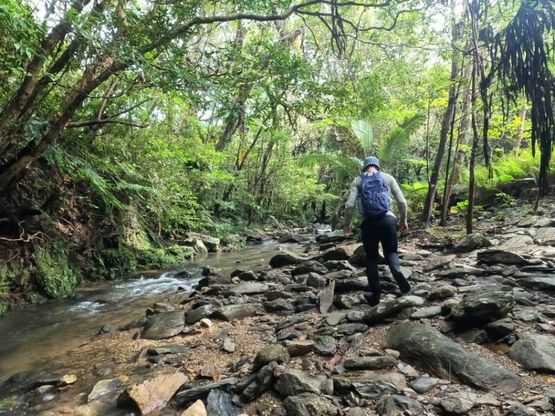 Okinawa: Jungle Trails & Waterfalls Native-English Private - Why Choose This Tour?