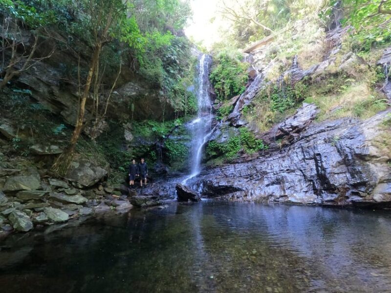 Okinawa: Jungle Trails & Waterfalls Native-English Private - FAQ