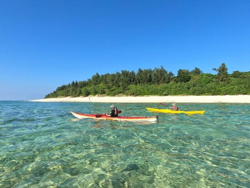 Okinawa: Kayak Mangroves & Ocean Native-English Private Tour - Key Points