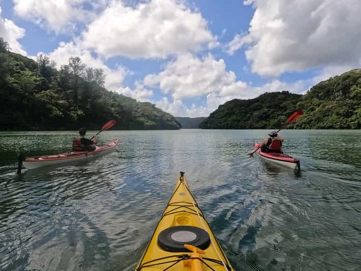 Okinawa: Kayak Mangroves & Ocean Native-English Private Tour - An In-Depth Look at Okinawa’s Kayak Adventure