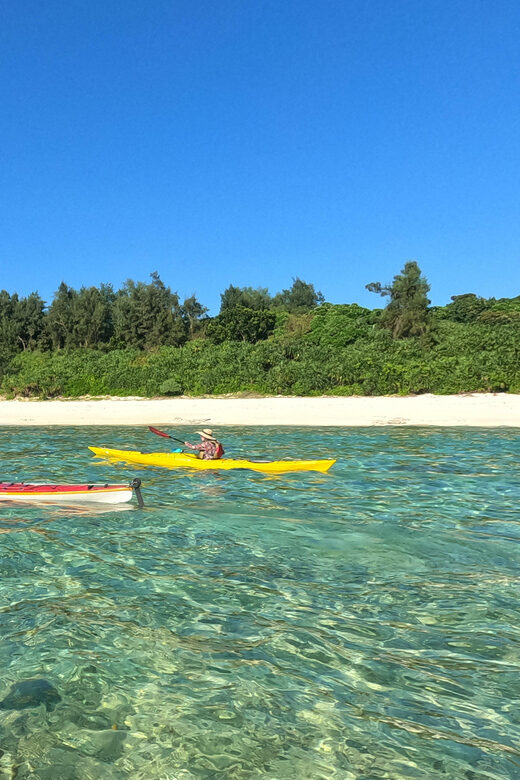 Okinawa: Kayak Mangroves & Ocean Native-English Private Tour - Final Thoughts