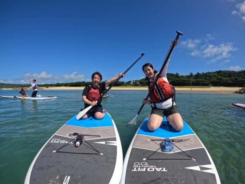 Okinawa: Kayak or SUP Tour to Hamahiga Island - The Value of This Water Adventure