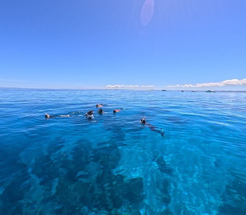 Okinawa Kerama Islands Snorkeling Day Trip (Free Pickup, Photography) Optional Shared Boat/Private Charter - At a glance