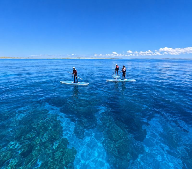 Okinawa Kerama Islands Snorkeling Day Trip (Free Pickup, Photography) Optional Shared Boat/Private Charter - What the price includes, and what it does not