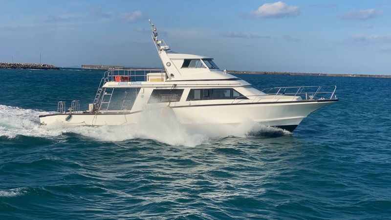 Okinawa Kerama Islands Snorkeling Day Trip (Free Pickup, Photography) Optional Shared Boat/Private Charter - Who should book this Kerama day trip?