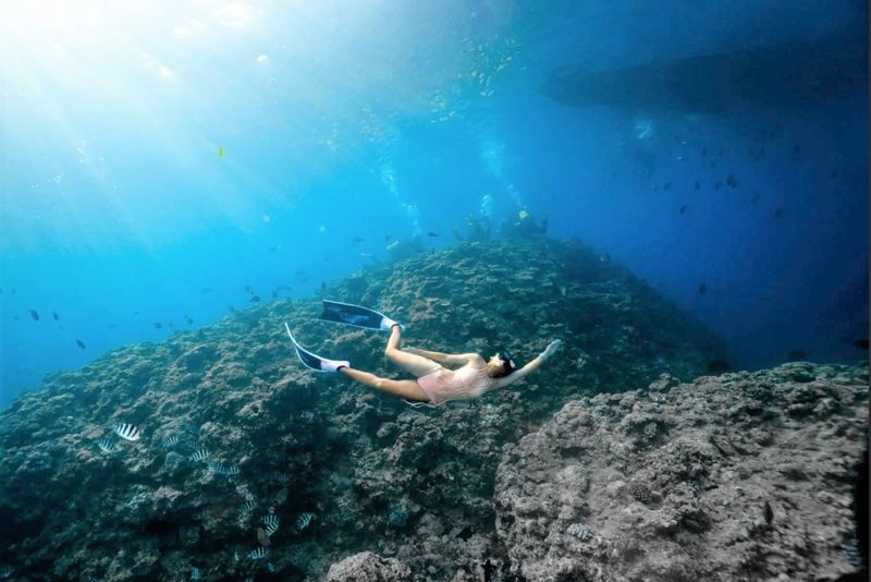 Okinawa Kerama Islands Snorkeling & Freediving with Naha Pickup - Kerama Blue, with a full day to enjoy it