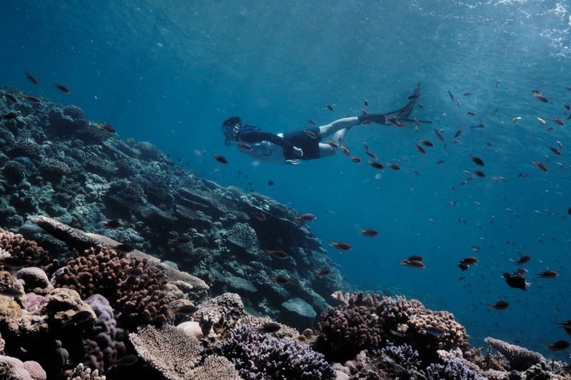 Okinawa Kerama Islands Snorkeling & Freediving with Naha Pickup - The early start from Naha
